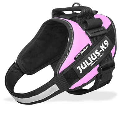 Julius k9 powerharnas/tuig voor labels roze