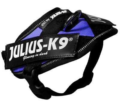 Julius K9 Power-Harnas/Tuig Nylon Blauw 37 x 2 cm