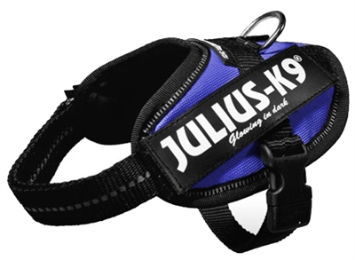 Julius K9 Power-Harnas/Tuig Nylon Blauw 43 x 2 cm