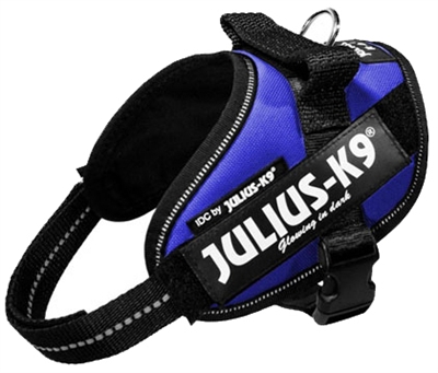 Julius K9 Power-Harnas/Tuig Nylon Blauw 61 x 3 cm