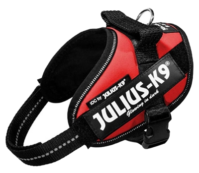 Julius K9 Power-Harnas/Tuig Nylon Rood 61 x 3 cm