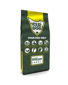 Yourdog irish softcoated wheaten terriËr volwassen