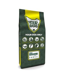 Yourdog pyreneese berghond senior