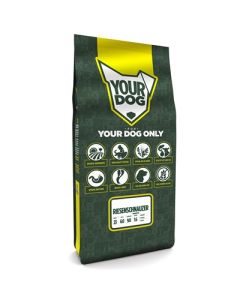 Yourdog riesenschnauzer senior
